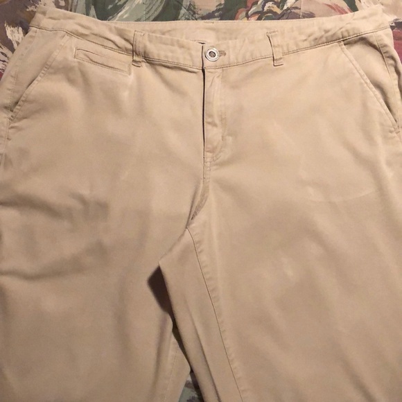 lane bryant boyfriend chino